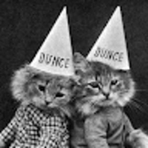 Meet your Posher, Brie